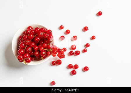 Un bol blanc avec quelques fruits Groseille sur une surface blanche Banque D'Images