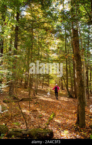 Femme sur un sentier avec chien appréciant les couleurs de l'automne dans le pays du Nord NY Banque D'Images