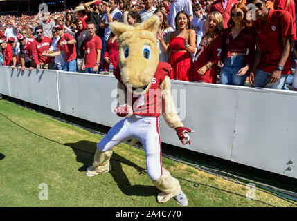 Oct 12, 2019 : New York mascot Boomer pose au cours de la rivalité de la rivière Rouge de la NCAA match entre l'Université de l'Oklahoma Sooners et l'Université de Texas longhorns au Cotton Bowl Stadium à Fair Park à Dallas, TX Texas défait 34-27 Albert Pena/CSM Banque D'Images