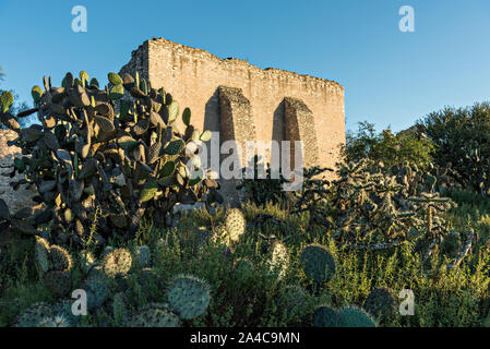 Une ruine abandonnée dans l'ancienne Hacienda Santa Brigida dans la ville fantôme de Mineral de Pozos, Guanajuato, Mexique. La ville, qui fut un important centre minier d'argent a été abandonné et laissé à la ruine, mais a lentement retour à la vie comme une communauté artistique de Bohême. Banque D'Images