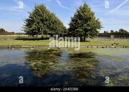 L'eau Long, Home Park, Hampton Court Palace, Hampton Court, East Molesey, Surrey. UK Banque D'Images