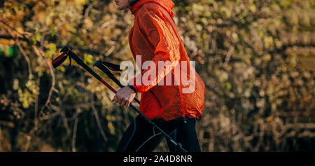 Homme coureur avec les bâtons de trekking dans la région de Red Jacket exécuter en arrière-plan de l'automne les arbres avec des feuilles jaunes Banque D'Images