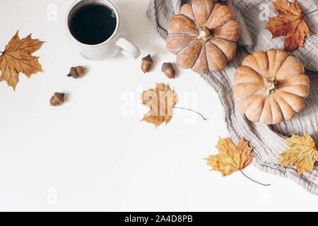 Automne, automne floral frame décoratif, la bannière. Composition de l'orange des citrouilles, des feuilles d'érable colorées, plaid coton, tasse de café et de glands isolated Banque D'Images