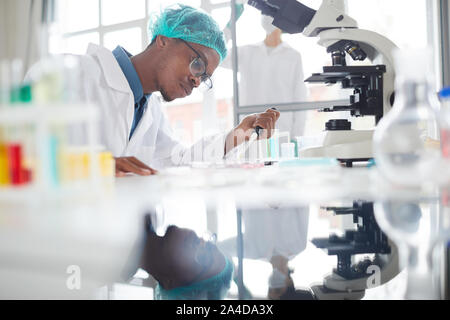 Vue de côté portrait de l'homme afro-américain travaillant dans la préparation d'échantillons de laboratoire de test dans la boîte de Pétri pour la recherche médicale, copy space Banque D'Images