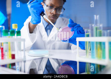 Jeune homme afro-américain holding petri à huis clos tout en travaillant sur la recherche médicale, au laboratoire, copy space Banque D'Images