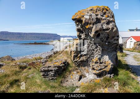 Les phoques EN FACE DE L'ÎLE DE VIGUR, SEABIRD SANCTUARY, ISAFJARDARJUP FJORD, ISLANDE, EUROPE Banque D'Images