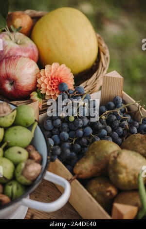 Caisse sur une table pleine de raisins et d'autres produits d'automne Banque D'Images