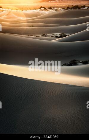 Télévision Mesquite Sand Dunes au lever du soleil, la Death Valley National Park, California, United States