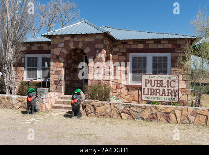 La bibliothèque publique de Valentine, une ville de Jeff Davis Comté (Texas), qui désigne les vacances approchent (St. Patrick's Day ici) avec une touche décorative à ses lions sentinelle devant la porte Banque D'Images