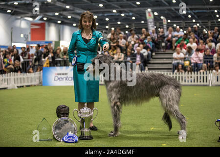 La découverte de l'exposition du Club Canin Chiens à Excel London, UK Photo montre Abigail Levene gagnant dans le jugement final de l'UK Junior Handler de la Banque D'Images