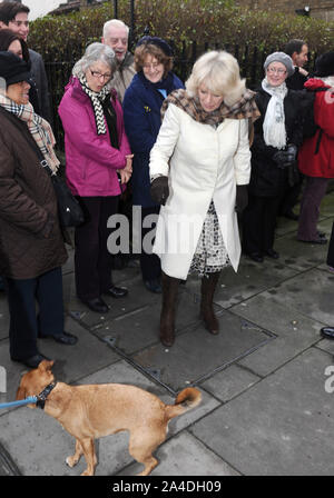 La photo doit être crédité ©Kate Green/Alpha Press 076831 24/01/2013 La Duchesse de Cornouailles Camilla Parker Bowles au cours d'une visite à l'église de St Anselme, et d'apprendre à propos de la communauté Projet de charité Pathways à Kennington Cross à Londres Banque D'Images