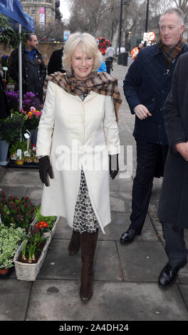 La photo doit être crédité ©Kate Green/Alpha Press 076831 24/01/2013 La Duchesse de Cornouailles Camilla Parker Bowles au cours d'une visite à l'église de St Anselme, et d'apprendre à propos de la communauté Projet de charité Pathways à Kennington Cross à Londres Banque D'Images