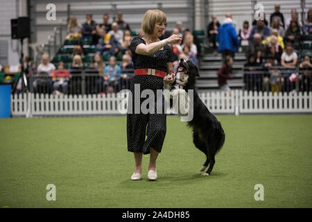 La découverte de l'exposition du Club Canin Chiens à Excel London UK Photo montre Kath Hardman avec son Denby (collie de 8) faire afficher Heelwork to Music Banque D'Images