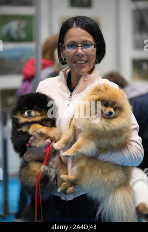 La découverte de l'exposition du Club Canin Chiens à Excel London UK. Gina Slough avec deux chiens Pomeranian Lijuan Banque D'Images