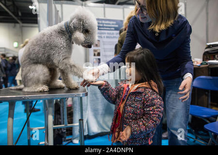 La découverte de l'exposition du Club Canin Chiens à Excel London, UK. Photo montre un enfant de caresser un Bedlington Terrier dans un des stands de découverte. Banque D'Images