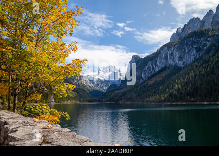 Mont Dachstein vu du célèbre Lac Gosau, Autriche. Un automne coloré spectacle est en cours dans les Alpes avec un jaune, orange érable joliment illu Banque D'Images