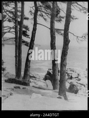 La mer, à proximité de Thunder Hole, Mt. Desert Island, Maine Banque D'Images