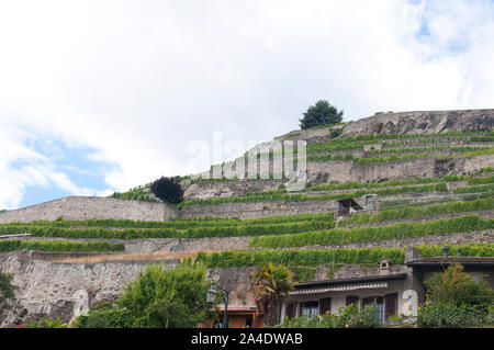 Célèbre vignoble et protégées dans le canton de Vaud, située dans le district de Lavaux-Oron Banque D'Images