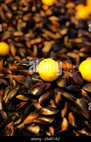 Prêt à manger épicé Moules farcies au riz cuit et citron. Concept de l'alimentation de rue. Région méditerranéenne. En Turquie traditionnelle. Focuse sélective. Banque D'Images