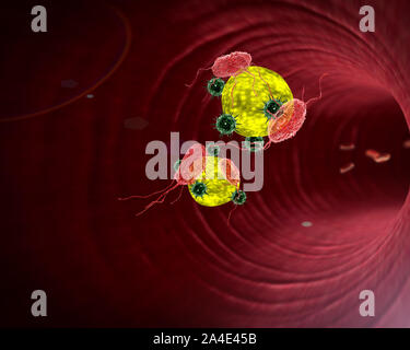 3D illustration des droits de l'attaque du système immunitaire le virus, macrophage et de grosses cellules à l'intérieur des vaisseaux sanguins, les cellules de sang blanches à l'intérieur du vaisseau sanguin, Banque D'Images