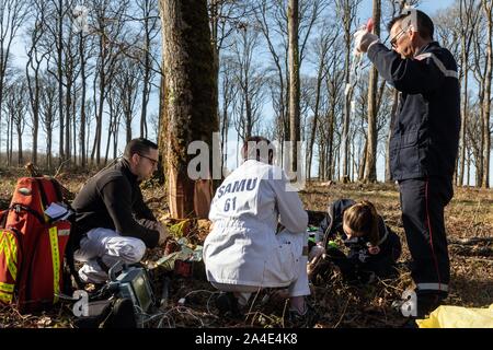 Opération de sauvetage AVEC LES POMPIERS ET LE SAMU POUR UN JEUNE BÛCHERON A FRAPPÉ À LA TÊTE PAR UN ARBRE DANS LA FORÊT, ALENCON (61), FRANCE Banque D'Images