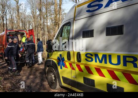 Opération de sauvetage AVEC LES POMPIERS ET LE SAMU POUR UN JEUNE BÛCHERON A FRAPPÉ À LA TÊTE PAR UN ARBRE DANS LA FORÊT, ALENCON (61), FRANCE Banque D'Images