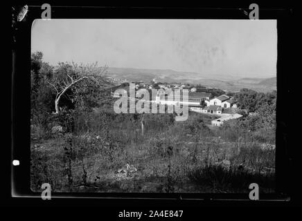 La saison vintage, Ron'Ya'aqov, Juillet 24, 1939 Banque D'Images