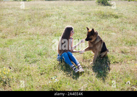 Berger Allemand trains femme en parc sur marche Banque D'Images