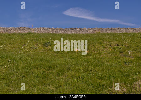 Mur de pierres sèches de Purbeck traditionnel près de Langton Matravers, Dorset, UK Banque D'Images