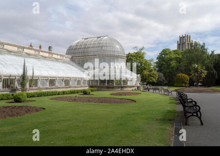 Palm House d'hiver, jardins botaniques, Belfast , Irlande du Nord Banque D'Images