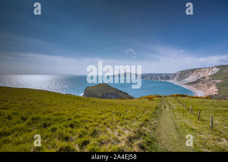 Worborrow Tyneham près de la baie, Dorset, UK Banque D'Images