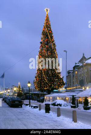 Arbre de Noël avec des décorations dans Stockholm Banque D'Images