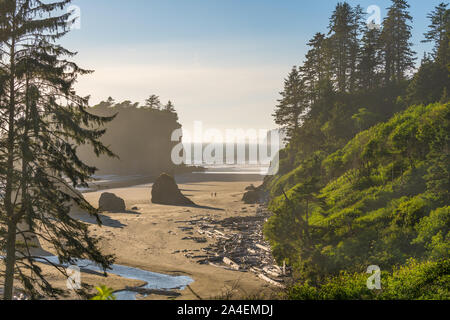 Ruby Beach in Olympic National Park, Washington, USA. Banque D'Images