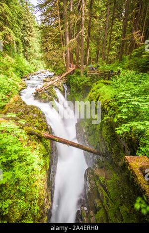 Sol Duc falls in Olympic National Park, Washington, USA. Banque D'Images