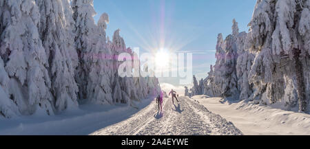 Ski de Panorama sur le Fichtelberg Banque D'Images