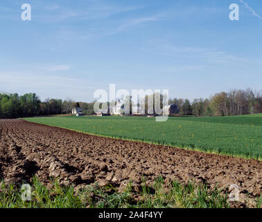 Tidy Amish farm en pays Amish, comté de Lancaster, Pennsylvanie Banque D'Images