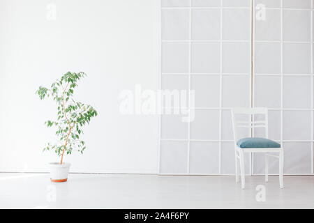 Fauteuil vert avec une plante en pot dans une pièce blanche vide Banque D'Images