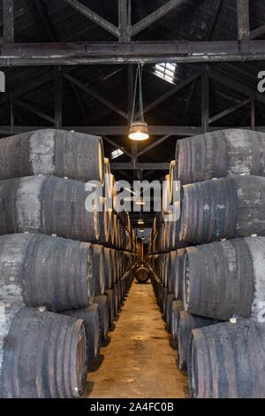 Le vieillissement en fûts de stockage, Port Vila de Nova de Gaia, Portugal. Banque D'Images