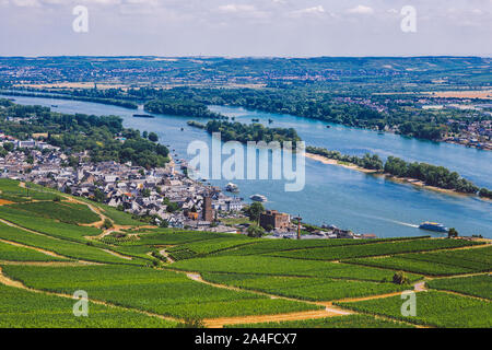 Panorama de la vallée du Rhin moyen, avec de belles vignes en pente jusqu'à un lointain village médiéval de Rudesheim, Allemagne. L'Unesco Banque D'Images