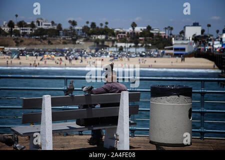 Jetée de Santa Monica, Los Angeles, Californie, États-Unis - UN homme âgé est assis sur un banc derrière, surplombant la plage de Santa Monica et nourrissant les pigeons Banque D'Images