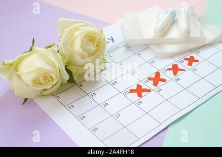 Télévision jeter la composition avec des roses blanches et les tampons menstruels et pad sur période de menstruation et calendrier rose et lilas bleu pastel arrière-plan. G Banque D'Images