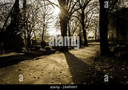 Soleil qui brille dans le cimetière Banque D'Images