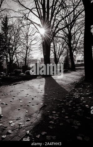 La lumière du soleil de l'après-midi dans le cimetière effet monochrome Banque D'Images