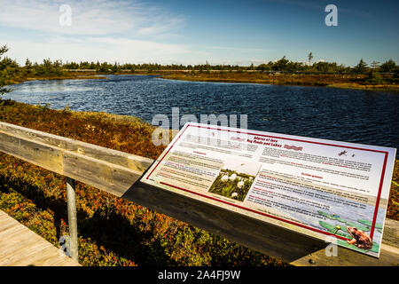 Interprétation de l'Île Miscou Miscou - Promenade de la Tourbière, du Nouveau-Brunswick, de CA Banque D'Images