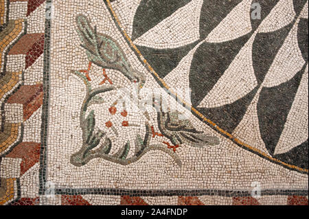 Italie, Rome, Palazzo Massimo alle terme, Museo Nazionale Romano, Musée National Romain, mosaïque romaine (2e siècle après JC) décoration avec plantes et oiseaux Banque D'Images