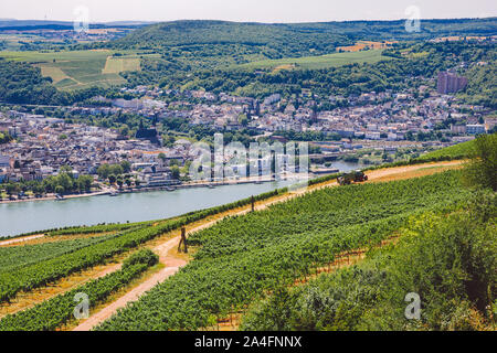 Vue panoramique de la ville par la rivière et les vignobles. Thème du tourisme en Allemagne. Travail d'un tracteur dans un vignoble avec vue sur le Rhin et le Banque D'Images