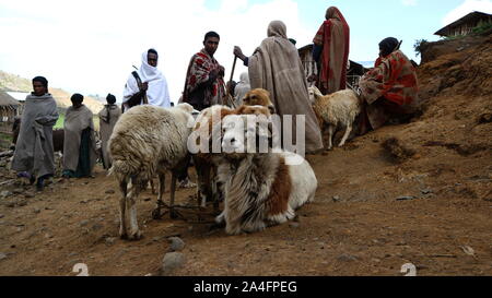 L'ouest des hautes terres d'Ethiopie / Ethiopie - 20 Avril 2019 : les agriculteurs éthiopiens en vêtements traditionnels rassembler leur bétail à un petit marché Banque D'Images