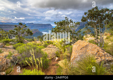 La végétation naturelle et de rochers dans un paysage panoramique du Blyde River Canyon Mpumalanga Afrique du Sud Banque D'Images