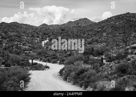 Paysage noir et blanc photo de la route pittoresque qui mène à quatre pics nature sauvage dans la forêt nationale de Tonto, Arizona. Banque D'Images