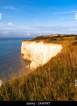 Les falaises blanches de Douvres. Tôt le matin, la lumière sur les falaises nr Kingsdown, Kent. Banque D'Images